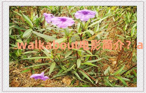 walkabout电影简介？a walk in the woods电影